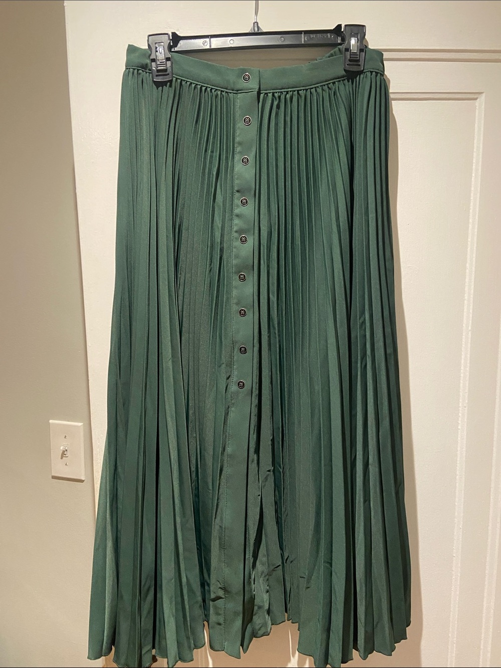 Mauve Forest Green Pleated Button-Front Maxi Skirt